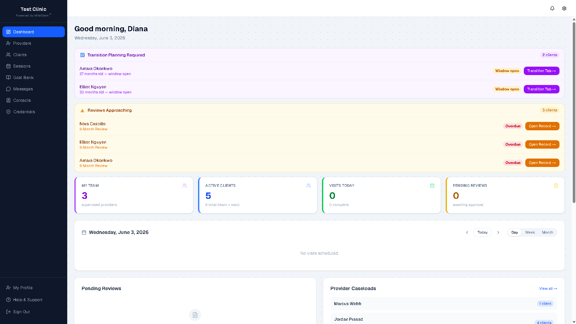 MileStem supervisor dashboard showing pending reviews, provider caseloads, needs attention, and recent activity